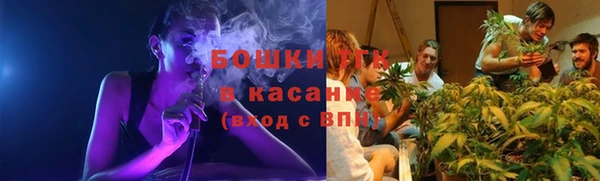 соль ск Гусь-Хрустальный