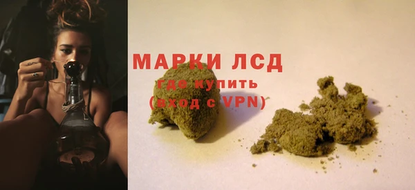 гидропоника Гусев
