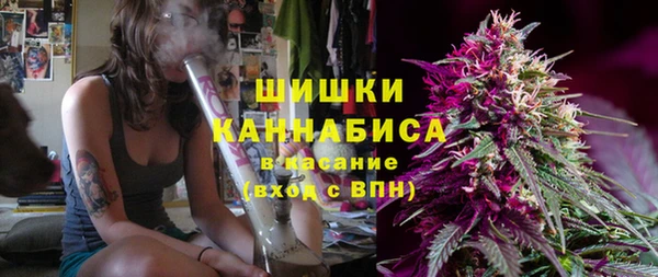 гидропоника Гусев