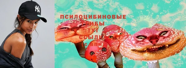 соль ск Гусь-Хрустальный