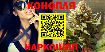 спиды Дубна