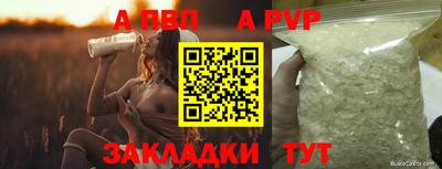 спиды Дубна
