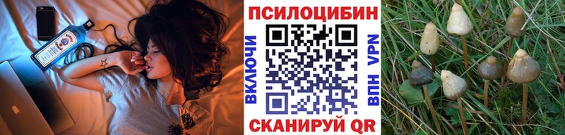 Псилоцибиновые грибы GOLDEN TEACHER  Мценск 