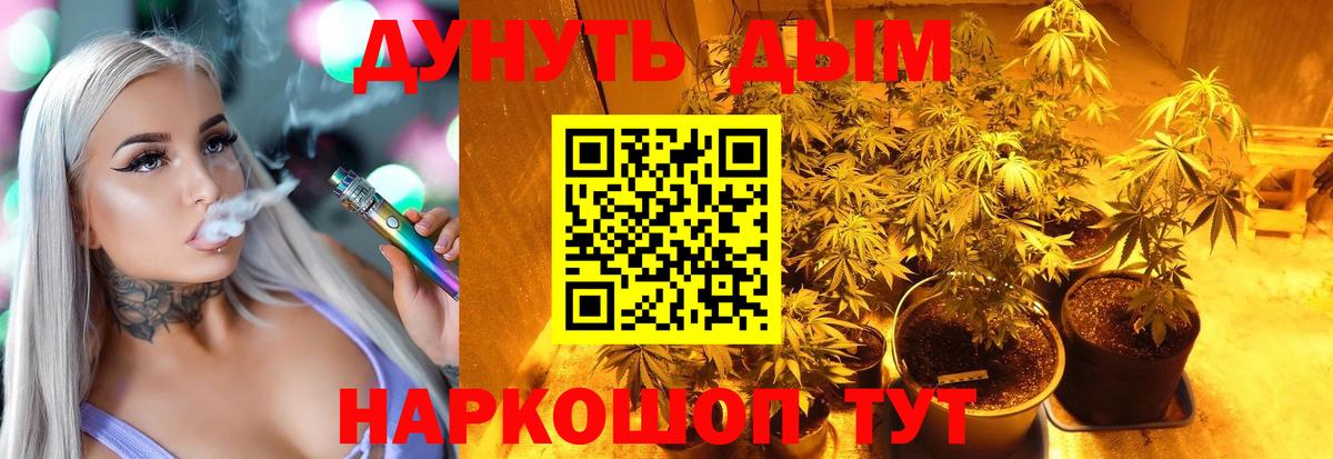 Бошки Шишки ГИДРОПОН  Марихуана конопля  Вход с VPN  Мценск  Канабис Ganja 